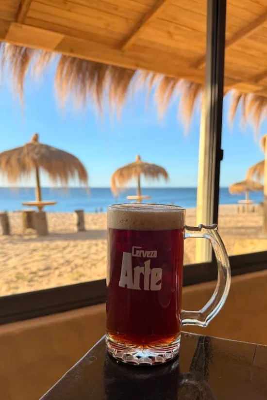 vista-al-mar-club-pingueral-restorant